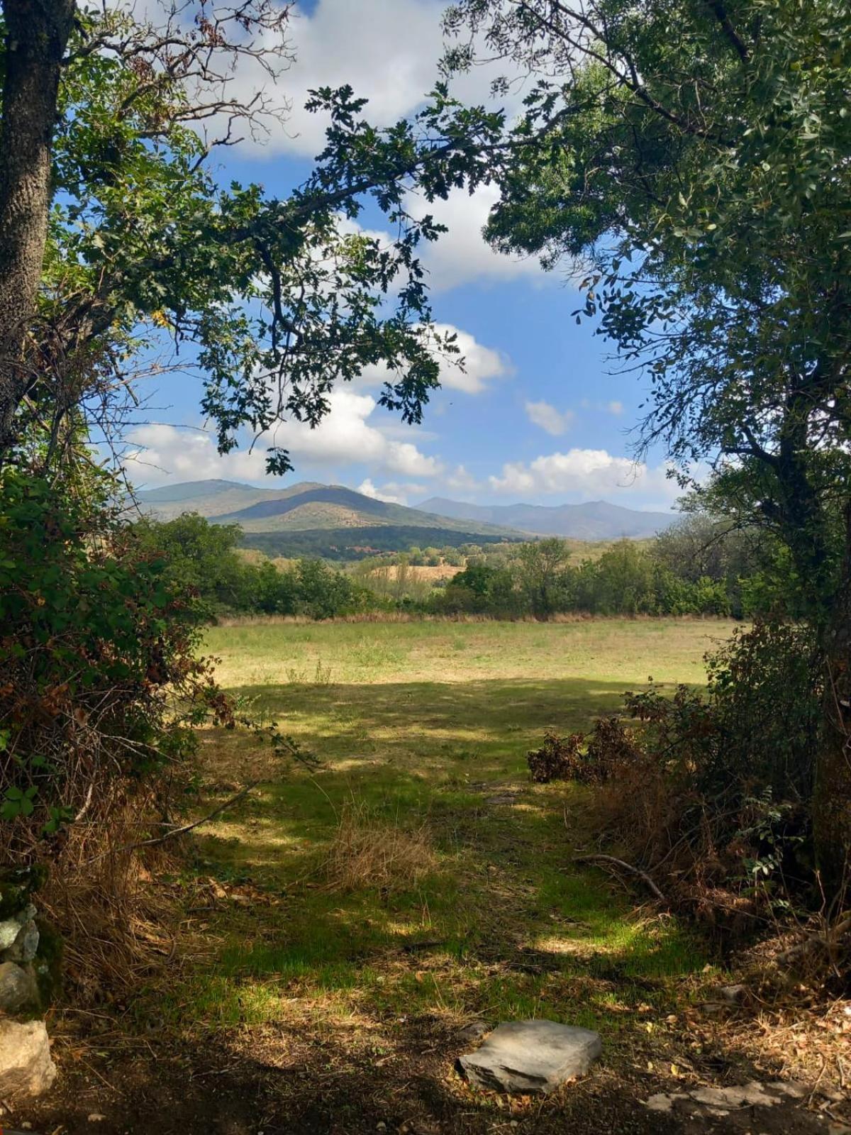 Al Viento, Alojamiento & Turismo Rural Pradena Del Rincon Exterior foto