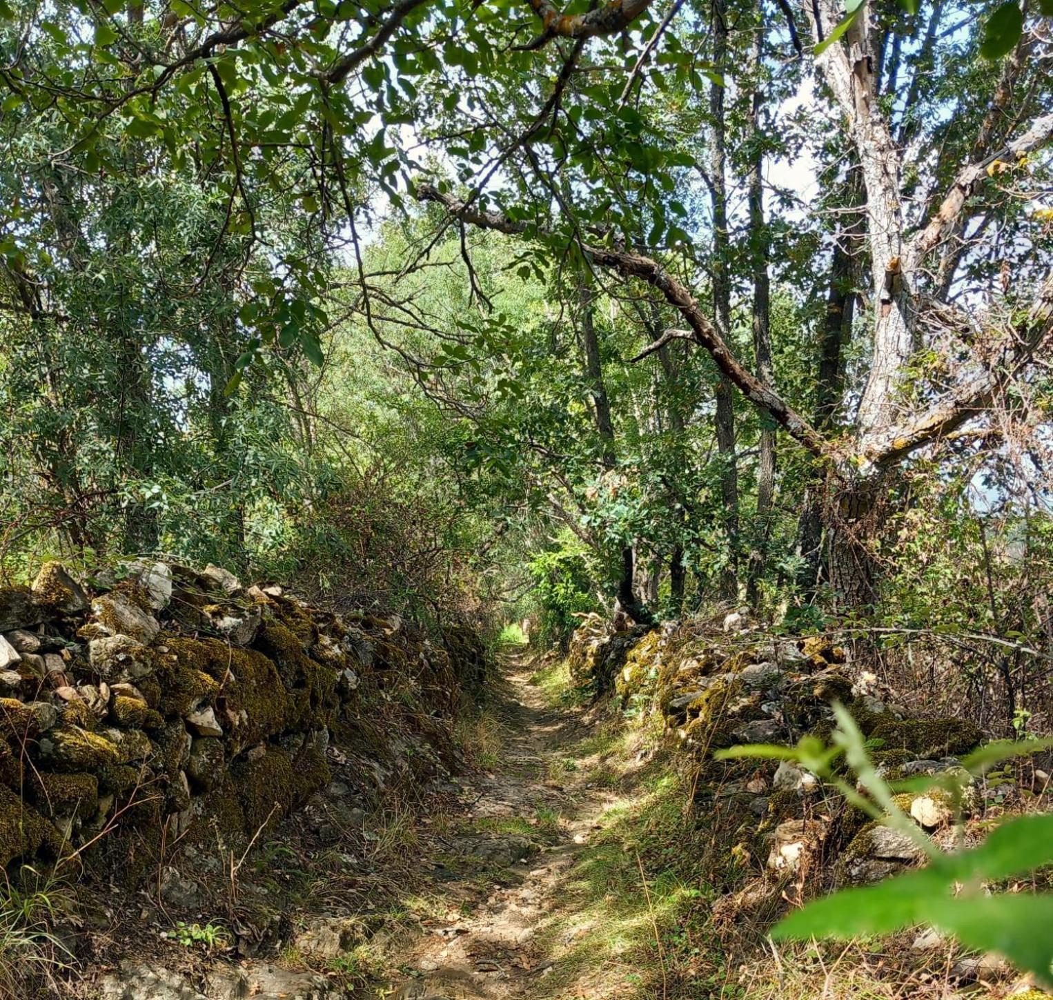Al Viento, Alojamiento & Turismo Rural Pradena Del Rincon Exterior foto